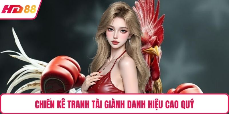 Chiến kê tranh tài giành danh hiệu cao quý