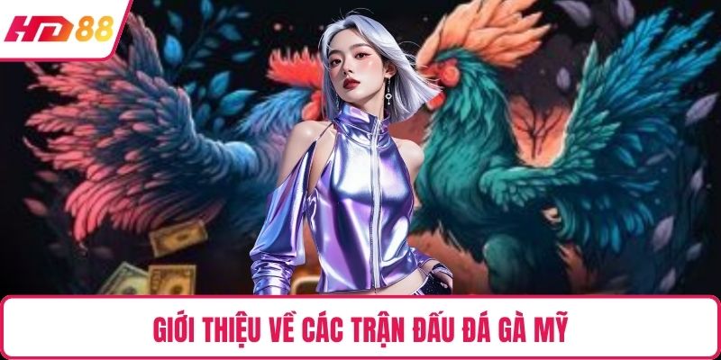 Giới thiệu về các trận đấu đá gà mỹ 