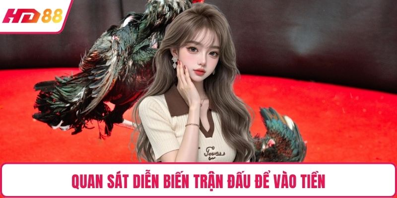 Quan sát diễn biến trận đấu để vào tiền